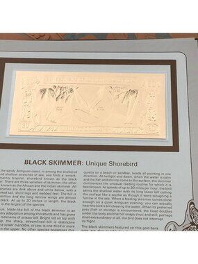 Gold Bank Notes Of Antigua Barbuda 23 K Gold 30 Dollars Black Skimmer Shorebird